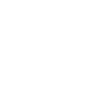 TOH - Event-related Icons_Disco Ball - White
