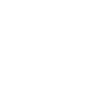 TOH - Event-related Icons_Fireworks - White